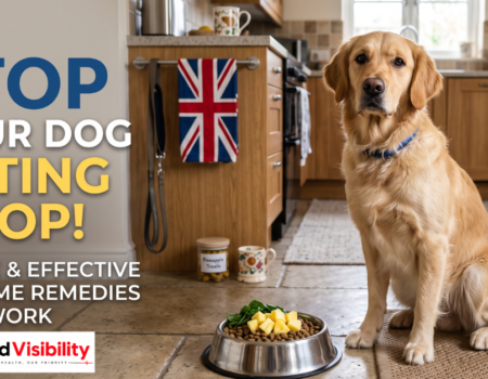 Dog in garden after successful coprophagia training, UK home remedy guide